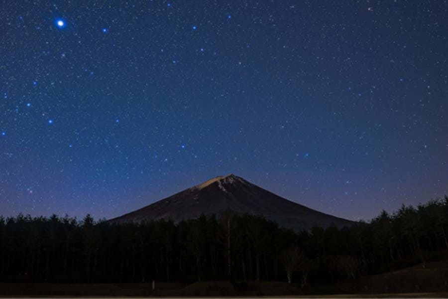 The vast forest at the foothills of Mt. Fuji